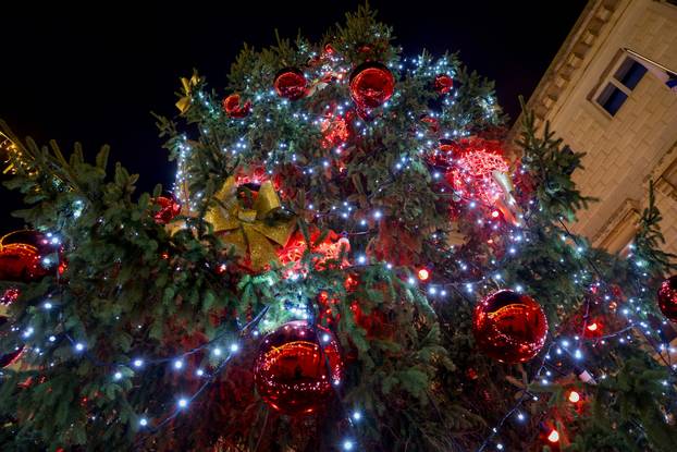 Zadar: Noćne fotografije ukrašenog grada
