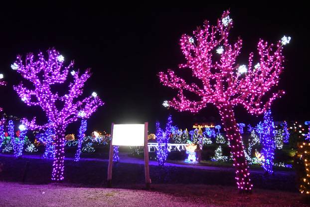 Grabovnica: Započela božićna čarolija svjetla obitelji Salaj