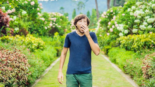 Sezona je peludnih alergija: Top savjeti stručnjaka kako ublažiti simptome i koja hrana pomaže
