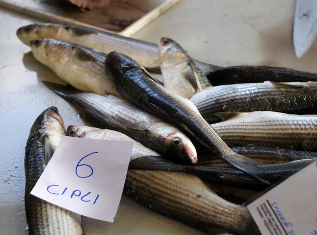 Šibenik: Ponuda ribe na ribarnici