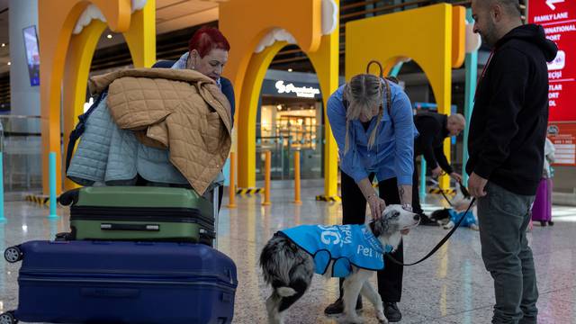 Therapy dogs roam Istanbul Airport, searching for stressed passengers who are looking to calm their nerves before they board their flight, in Istanbul