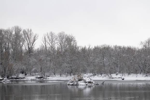 Kopački rit: Zimska idila u Baranji 