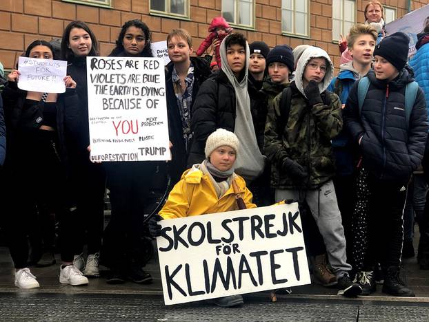 Swedish 16-year-old environmental activist Greta Thunberg attends a protest next to Sweden
