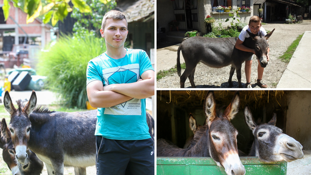 Mladi farmer Lovro (17): 'Od novca za prvu pričest kupio sam magaricu. Danas ih imam devet'