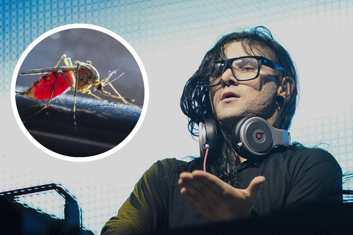 Muče vas komarci? Skrillexova glazba vam može pomoći, tvrde rezultati ovog eksperimenta