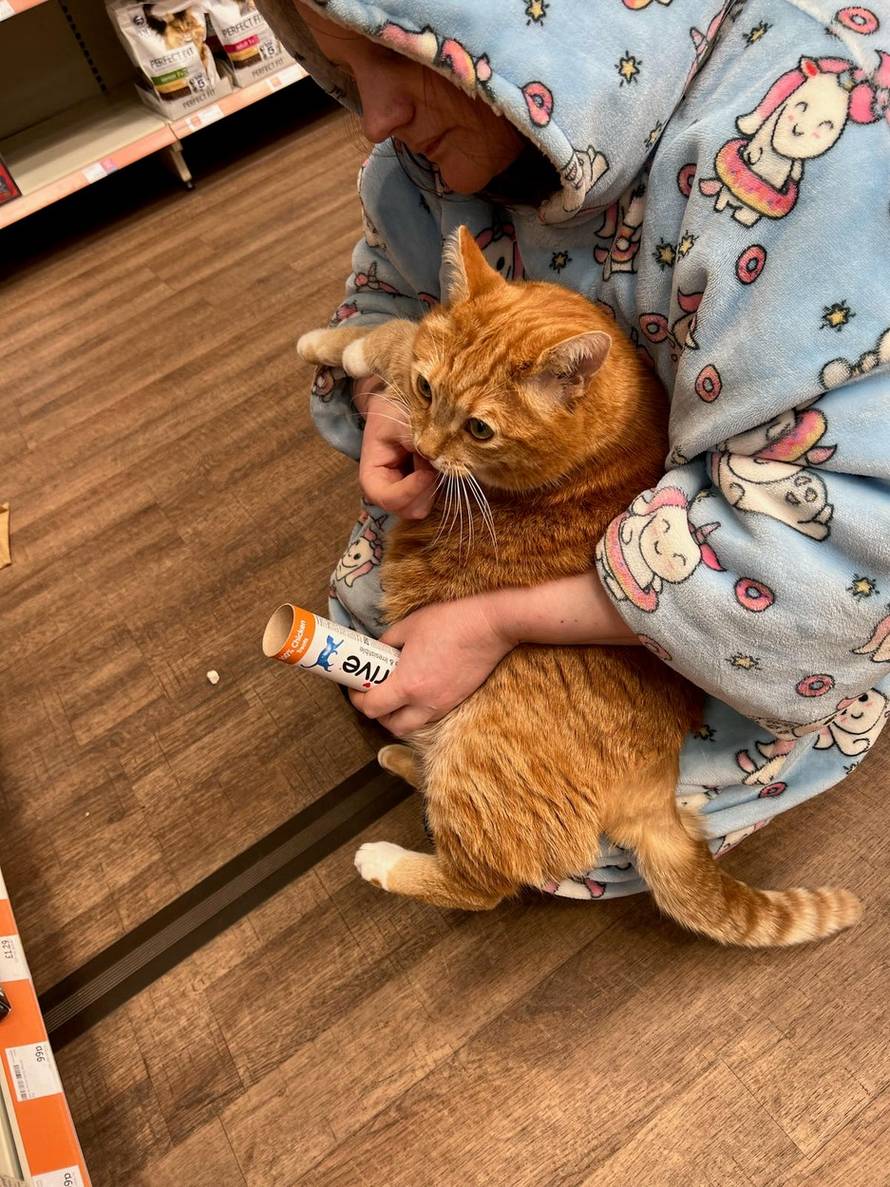 EXCLUSIVE: ‘I’ve spent Ł25,000 treating my cat’s ASTHMA – but it’s so worth it’