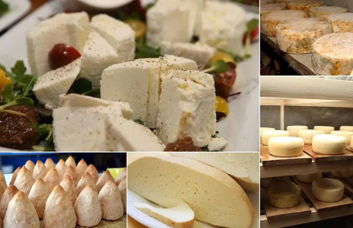 Upute za izradu tradicionalnih hrvatskih sireva: U Lici se cijedi 15 sati, u Istri se miješa 'klačem'