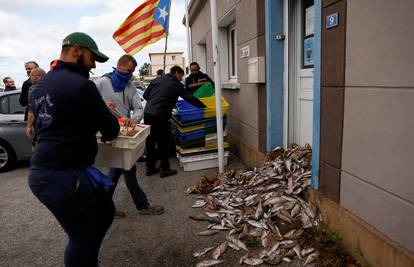 U blizini francuske obale uočili više od 100.000 uginulih riba