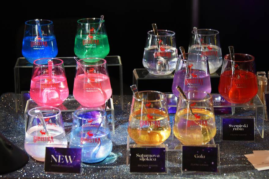 Svečano otvaranje 4. izdanja GinIstre