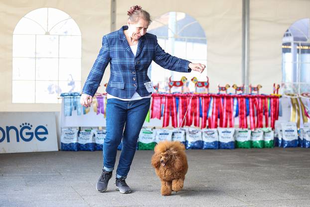 Zaprešić: Ispred Wesgatea održana međunarodna izložba pasa
