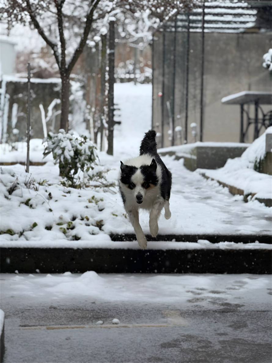 Općinska komunalka sama 'izlopatala' snijeg sa staze: 'Nema nikakve drame u tome'