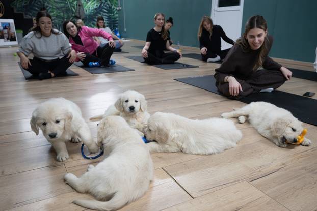 24SATA Paw Yoga, inovativni koncept joge koji je stigao u Hrvatsku