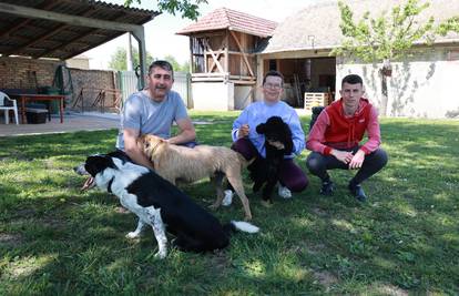Slavonska pseća oaza: 'Dolaze nam ljubimci iz cijele Europe. Čuvamo, treniramo i igramo se'