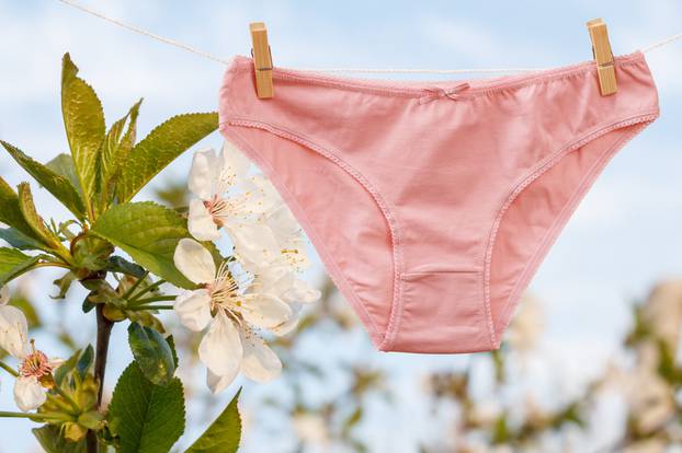 Beautiful women's cotton panties on natural background.