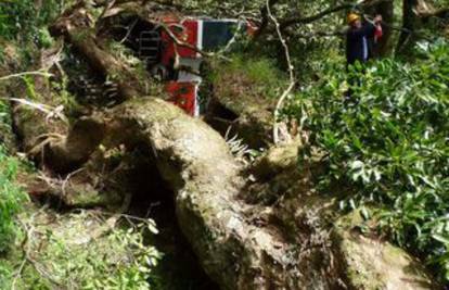 Tajvan: Stablo palo na vlak, poginulo je najmanje šest ljudi