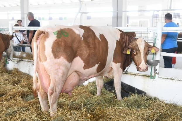 Gudovac: 32. izdanje međunarodnog jesenskog sajma