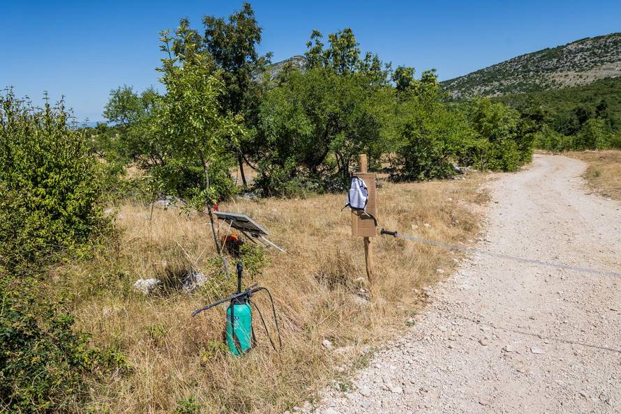 Gornje Maovice: Mjesto gdje je potvrđen slučaj bedrenice