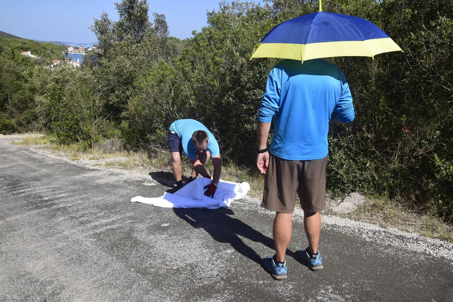 'Sunce je pržilo, ozlijeđenu sovu kišobranom smo držali u hladu do dolaska djelatnika parka'