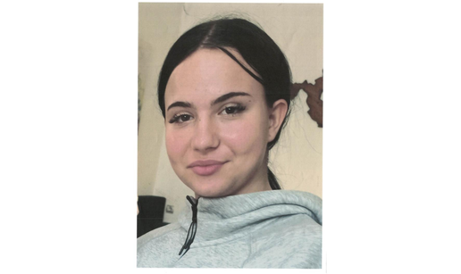 Jeste li je vidjeli? Noa (15) je nestala na području Vukovara