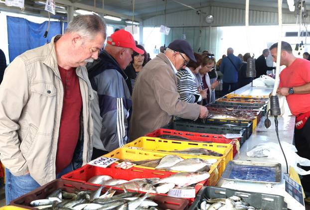 Šibenik: Ponuda ribe na šibenskoj ribarnici