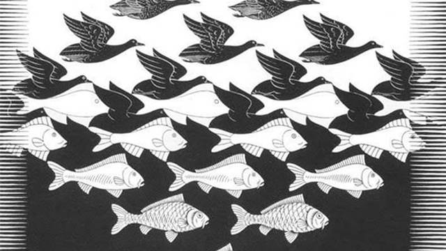 Testirajte svoj vid: Koliko riba, a koliko ptica vidite na slici?