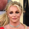 Britney Spears imala je vruću romansu s glumcem: 'Seks nam je izgledao kao ulična tučnjava'
