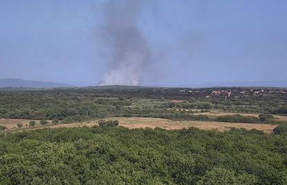 VIDEO Buknuo požar kod Pule, stigla dva kanadera: 'Stiže sve više vatrogasaca, jako puše!'