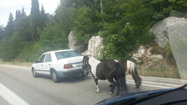 Majstor: Ponije je zavezao za mercedes i otišao na sajam...