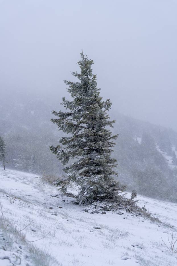 Zavižan: Snijeg pao u Nacionalnom parku Sjeverni Velebit