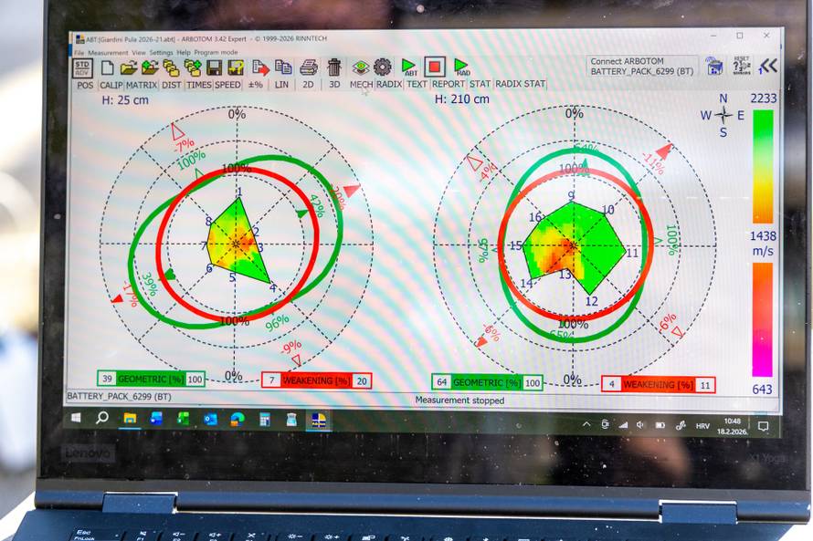 Pula: Snimanje zdravstvenog stanja svih stabala Ladonje na Giardinima