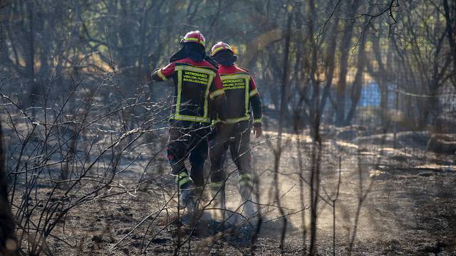 Bale: Požar koji je gorio na dva mjesta na udaljenosti jednog kilometra uspješno je lokaliziran