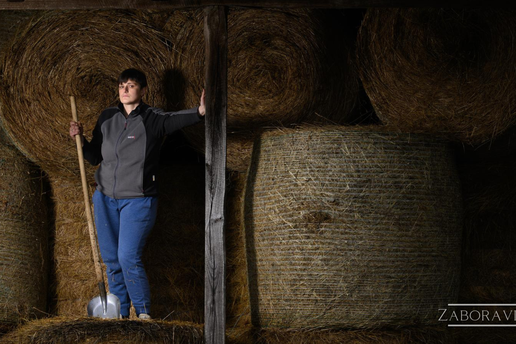 Bruxelles mi je bli&zcaron;i od Petrinje