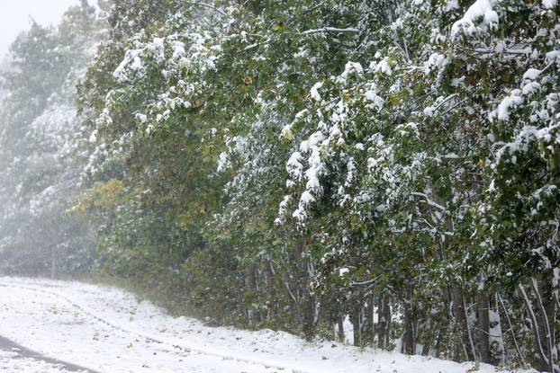Prvi snijeg na planini Bjelašnici