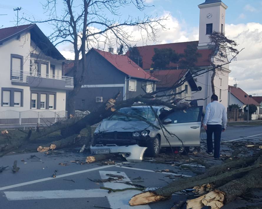 Stablo smrskalo auto u vožnji: Vozačicu spremaju za operaciju
