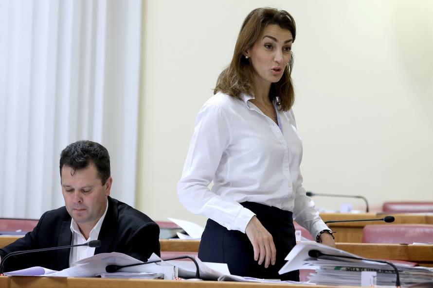 Zastupnice sa stilom: One su unijele boje i živost u Sabor