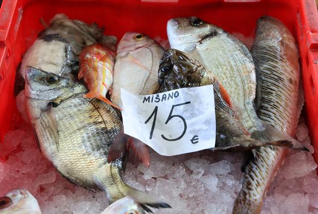 Šibenik: Poskupljenje plavog dizela još se nije odrazilo na cijene u ribarnici