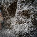 Iznenađenje u Pompejima: Na zidu kuće otkrili erotsku fresku
