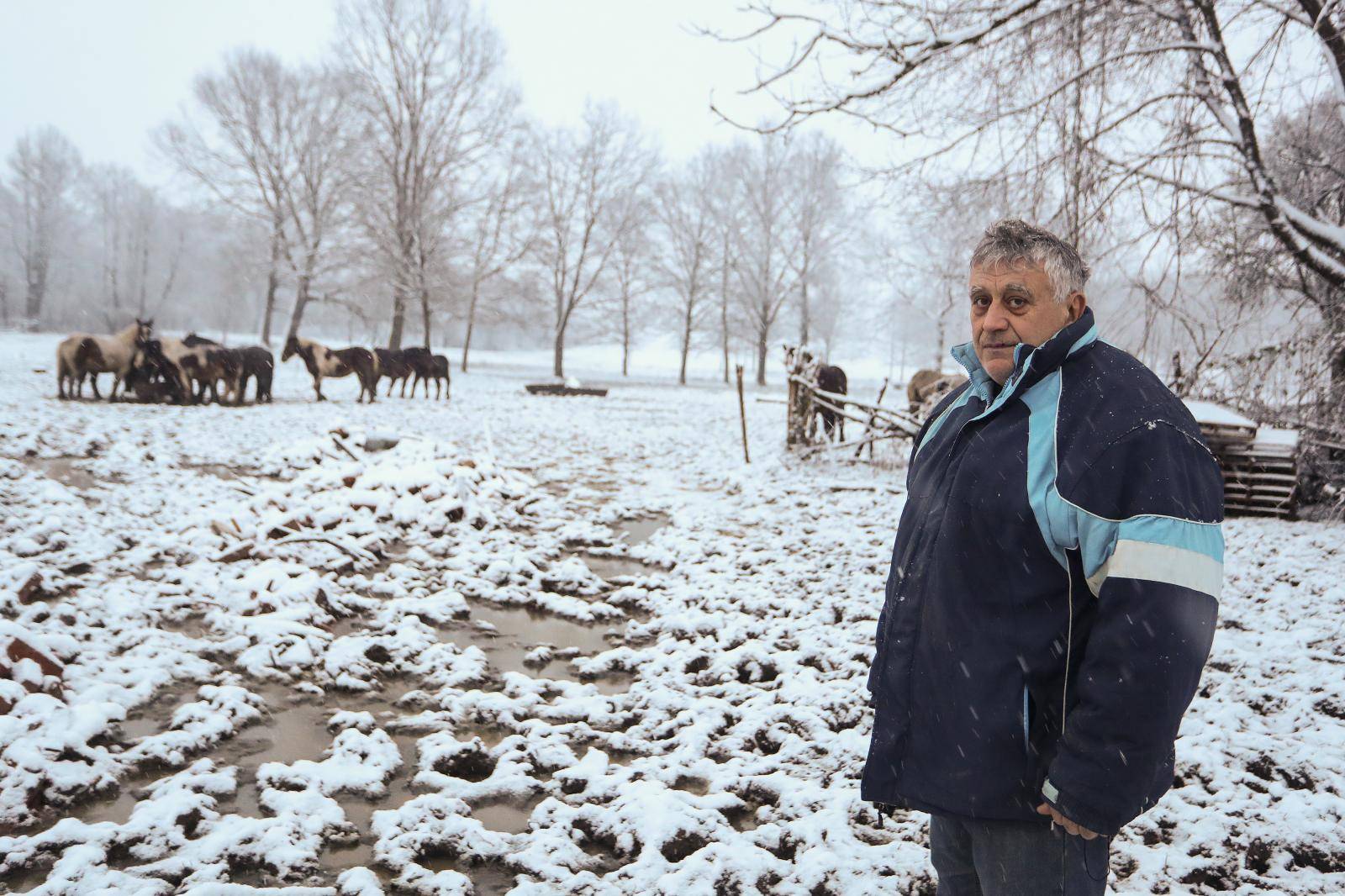 Spasio 16 konja u potresu, ali jedan nije izdržao: Pastuh mi se počeo tresti, srušio se i - uginuo