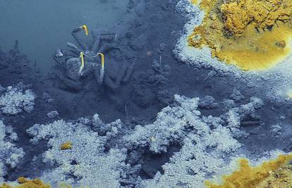 Misterij oceana: Na dnu leži bazen koji ubija sva živa bića