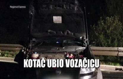 Nesreća u Istri: Autobusu je otpao kotač, usmrtio vozačicu 