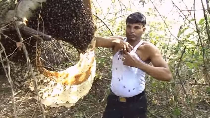 'Više ne osjećam bol': Ispod majice je natrpao hrpu pčela
