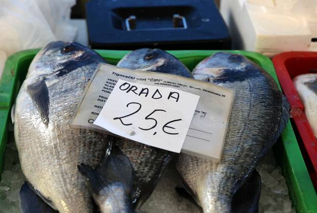 Šibenik: Poskupljenje plavog dizela još se nije odrazilo na cijene u ribarnici