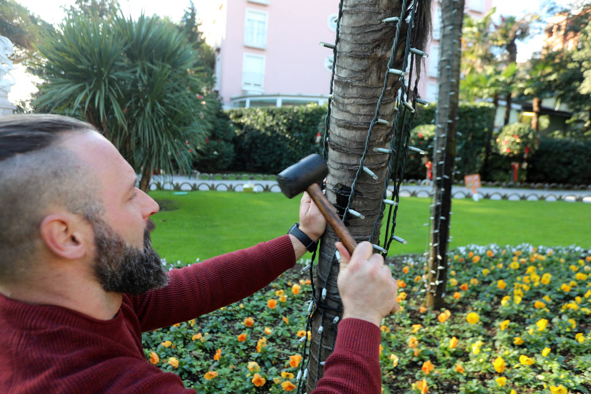 Opatija: Luka Čotić liječi palme u opatijskom parku Sveti Jakov 