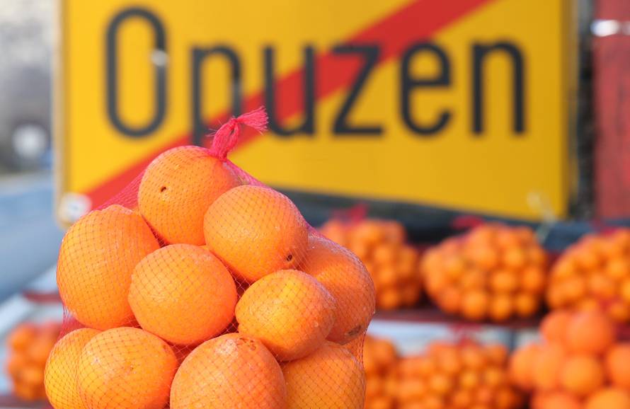 Trune 700 tona klementina, a nama se prodaju one iz uvoza