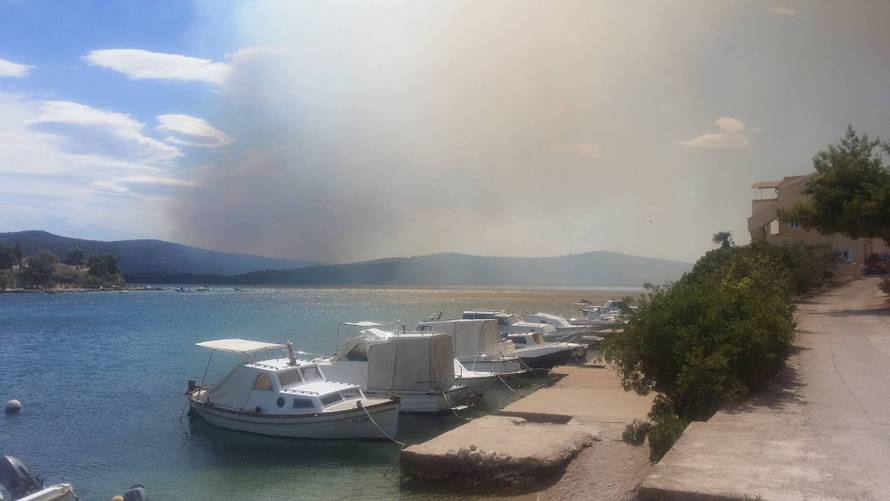 U Žaboriću gori borova šuma, vatrena stihija prijeti kućama