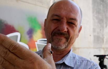 Pula ima svog 'šaptača' crnim udovicama: '14 puta je otrovnija od čegrtuše, a jede i škorpione!'