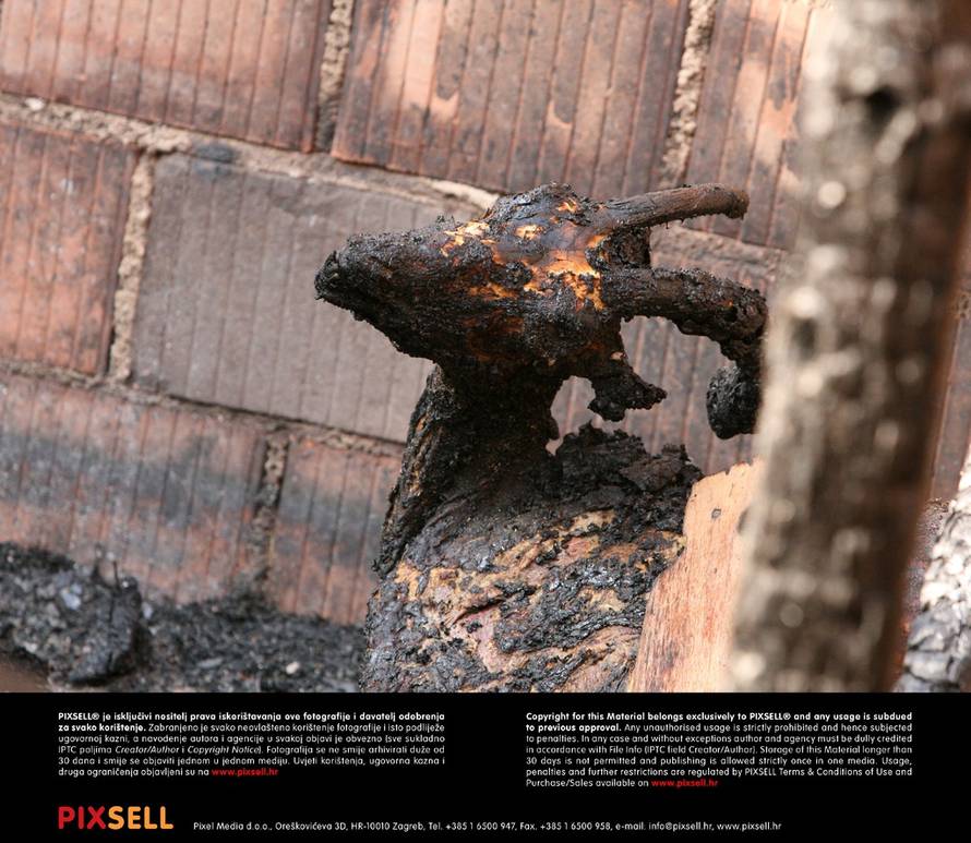 Duško Jaramaz/Pixell