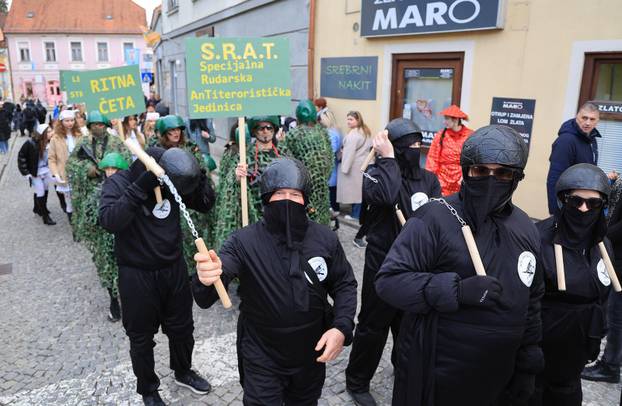 Velika povorka maskiranih grupa na 200. Samoborskom fašniku