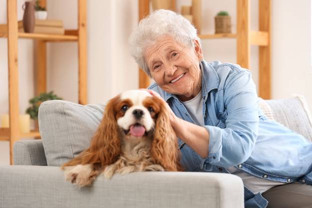 Senior,Woman,With,Cute,Cavalier,King,Charles,Spaniel,Dog,Sitting