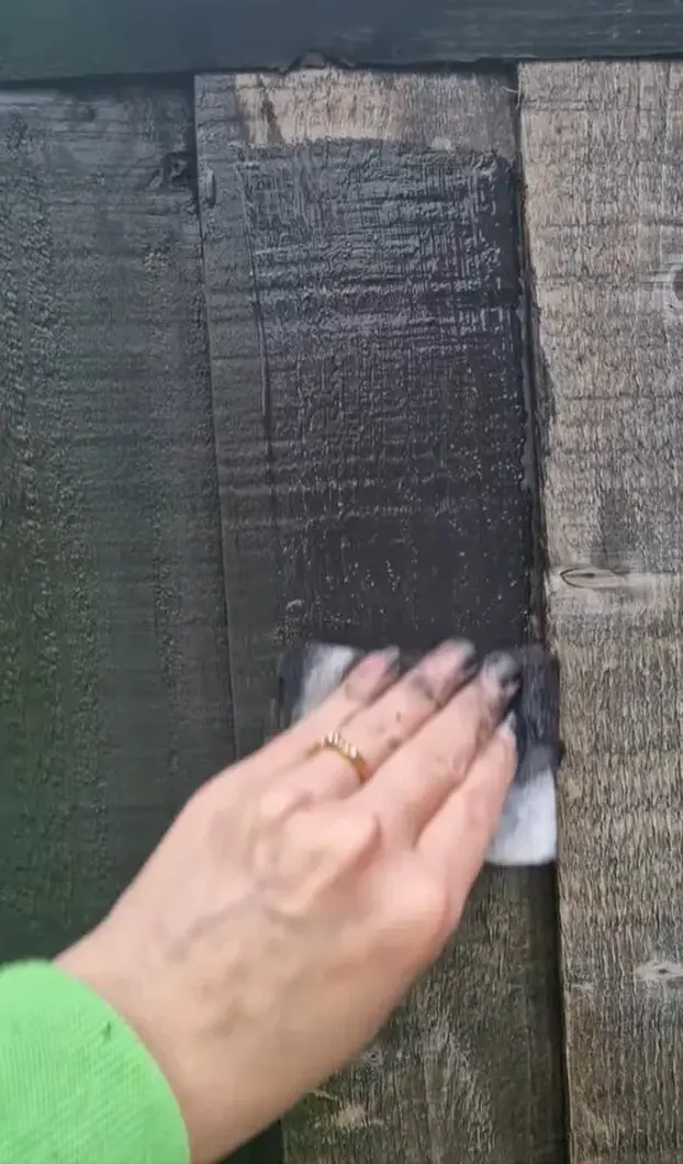 Hit from Tictoka! The wooden fence trick was delighted